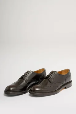 Derby half wing horse marrone uomo
