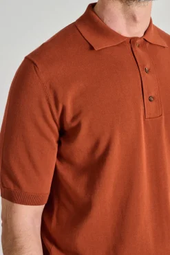 Polo manica corta cotone marrone